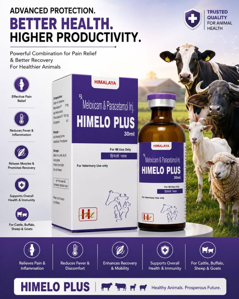 Himelo Plus